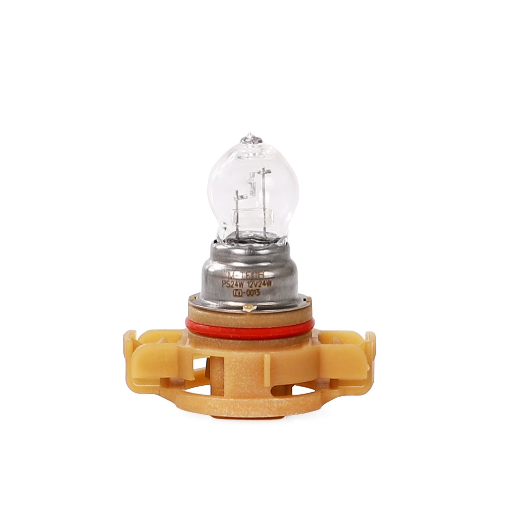 12v 24w bulb